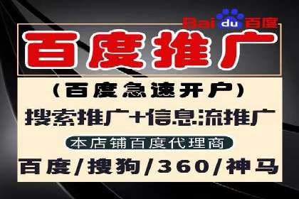 搜索引擎营销（SEM）广告投放的技巧与经典案例